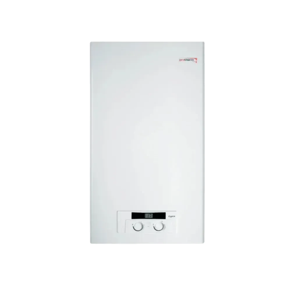 Ремонт котла Protherm Lynx в Москве и Московской области