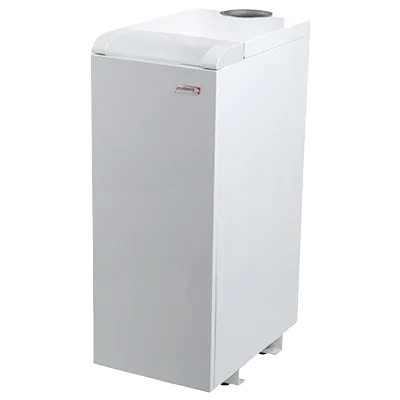 Обслуживание котла Protherm Medved (Протерм Медведь) в Москве и Московской области